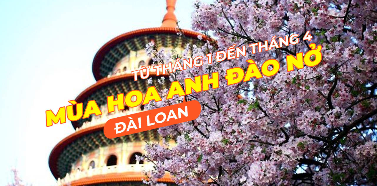 dia-diem-ngam-hoa-anh-dao-khi-du-lich-tai-dai-loan-vao-thang-2