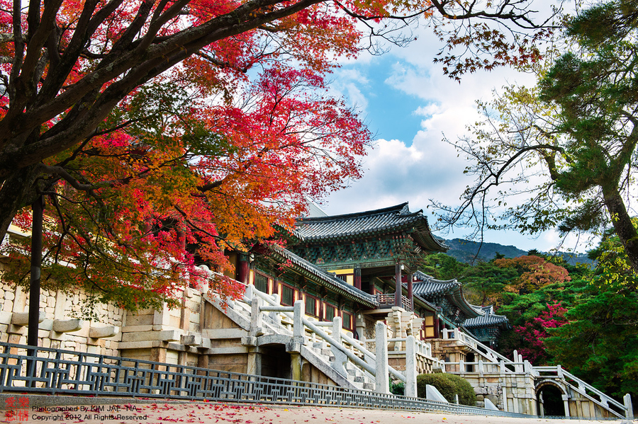 Tham quan kinh đô cổ kính GYEONGJU nổi tiếng tại Hàn Quốc