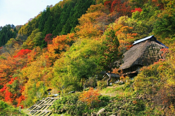 HÀ NỘI – SHIRAKAWAGO – KUROBE KYOKOKU - PHÚ SĨ – TOKYO