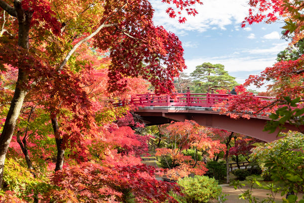 HÀ NỘI - NARITA - PHÚ SĨ - TOKYO