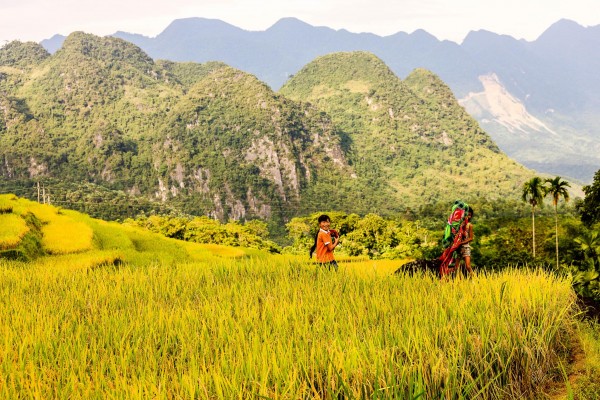 MAI CHÂU- PÙ LUÔNG- SUỐI CÁ THẦN- THÁC MÂY